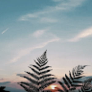 Meet your Posher, Ava